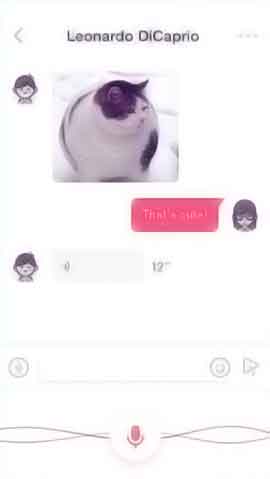 官方正版授权的物联卡那个卡好